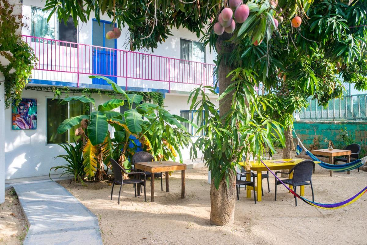Hotel Posada Senor Manana Сан-Хосе-дель-Кабо Экстерьер фото